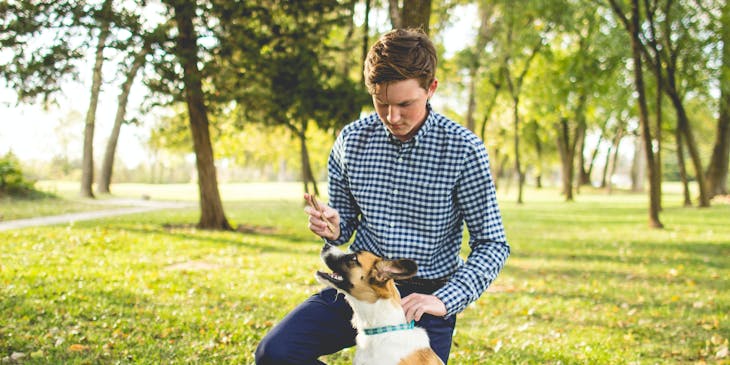 An animal communication professional working with a dog.