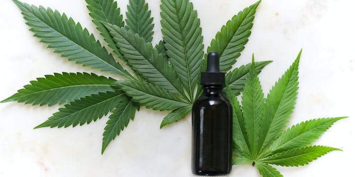 A cannabis leaf behind cannabis oil bottle in a cannabis business.