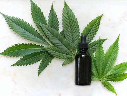 Hojas de cannabis detrás de un aceite esencial de cannabis en negocio de cannabis.