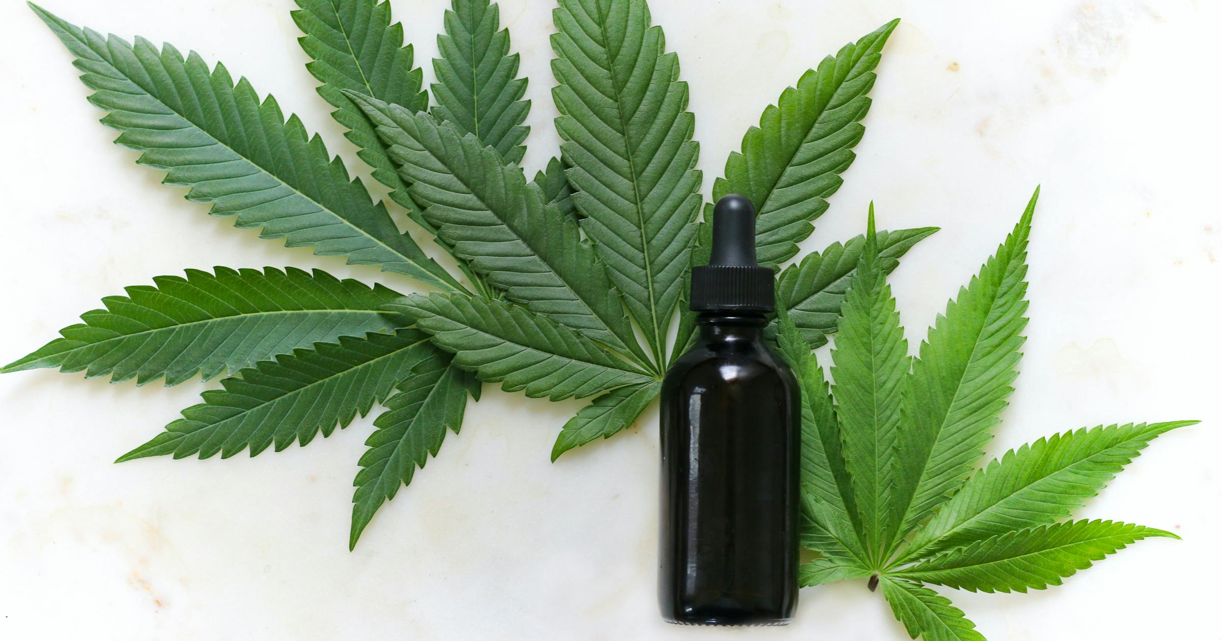 Cannabis Business Names