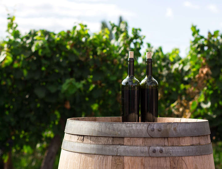 Nomi per Negozi di Vino Sfuso