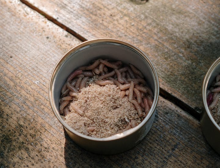 Nomes para lojas de iscas