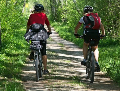 Deux cyclistes parcourant la forêt sur leurs vélos de location.