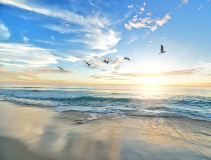 Ocean Business Names