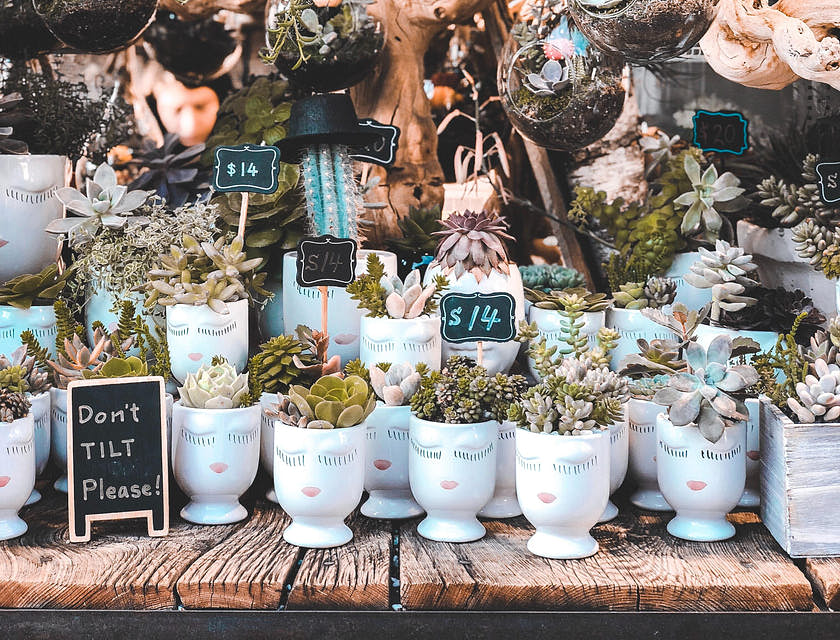 Nombres para tiendas de plantas