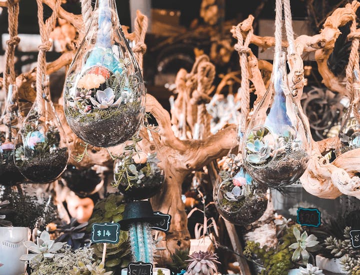 Nomes para lojas de plantas