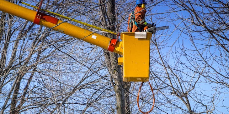A tree trimmer on an aerial work platform trimming the branches of trees.