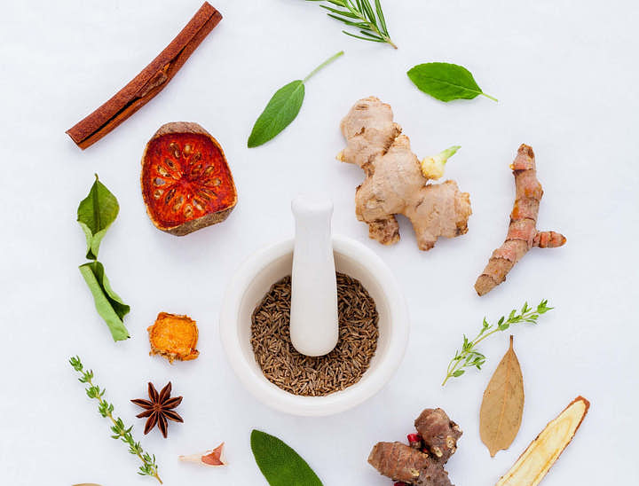 Nomes para lojas de produtos orgânicos