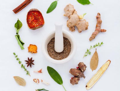 Herbs surrounded by a mortar and pestle for sale by an organic business.
