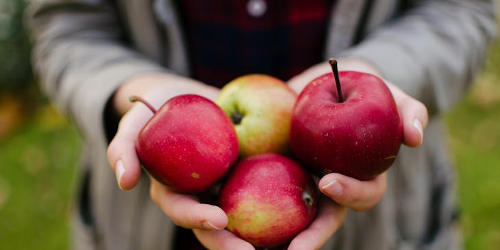 A person holding healthy red apples.