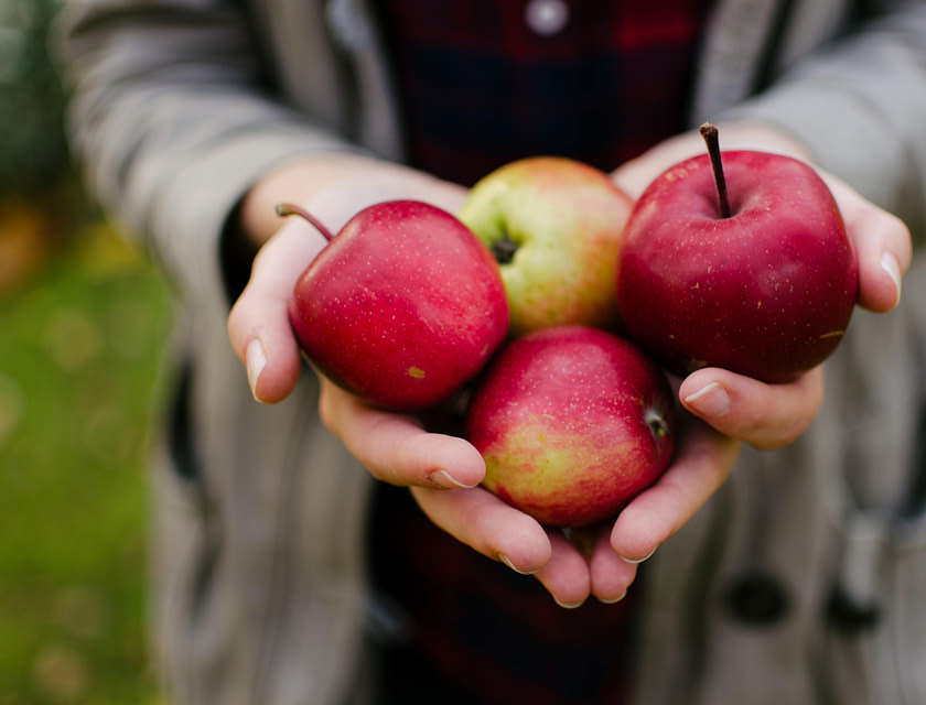 A person holding healthy red apples.
