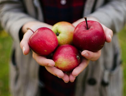 A person holding healthy red apples.