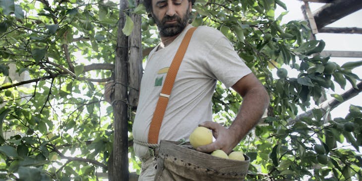 Un hombre poniendo manzanas en una bolsa de cuero en el huerto de un negocio agrícola.