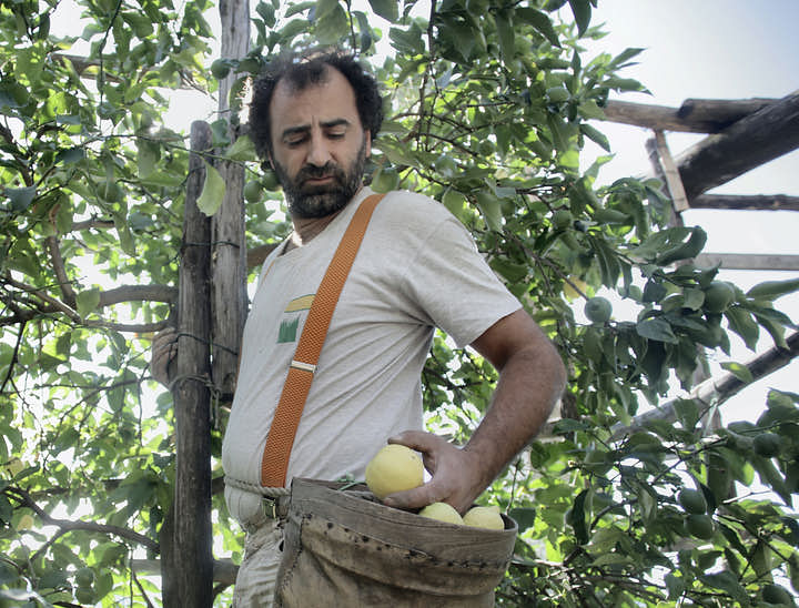 Cómo nombrar a un negocio agrícola