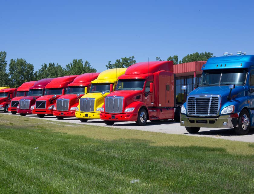 Colorful trucks parked diagonally in a row.