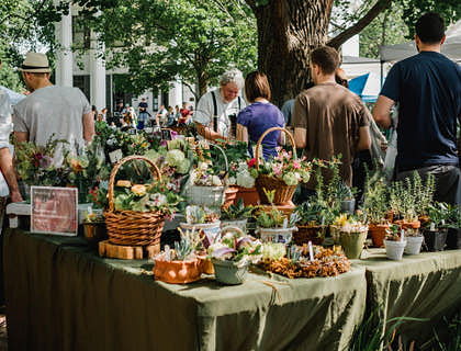 Un mercato locale ricco di clienti e piccole imprese.