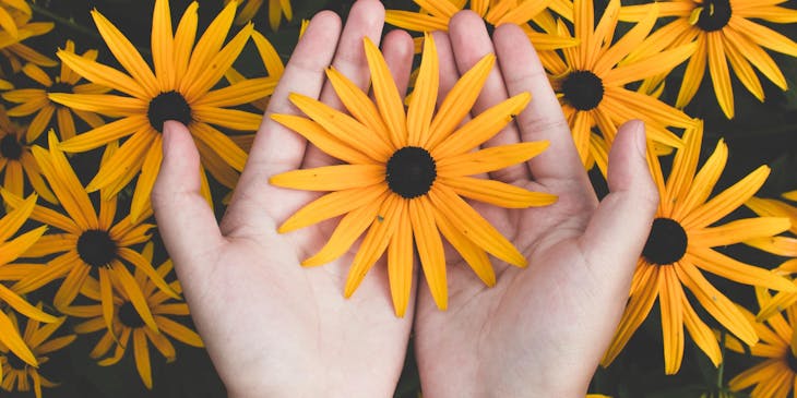 A person holding a flower with a field of flowers below them.