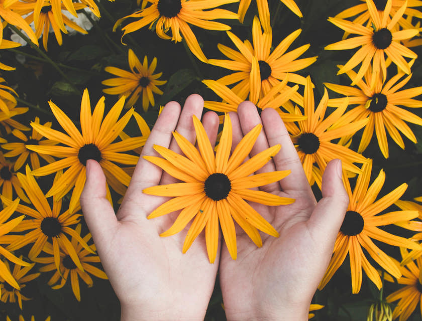 Una persona che tiene in mano un fiore sopra una distesa di fiori.