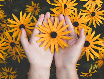 A person holding a flower with a field of flowers below them.