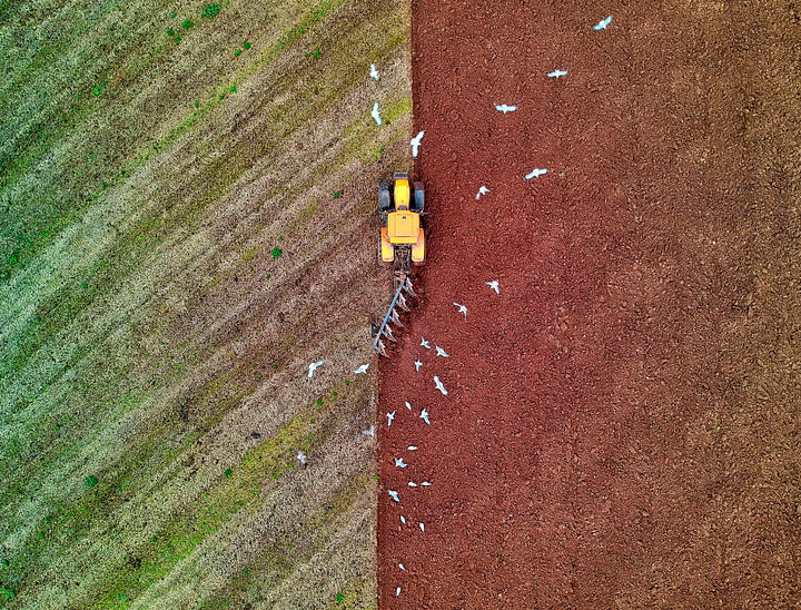 Nombres para asociaciones agropecuarias