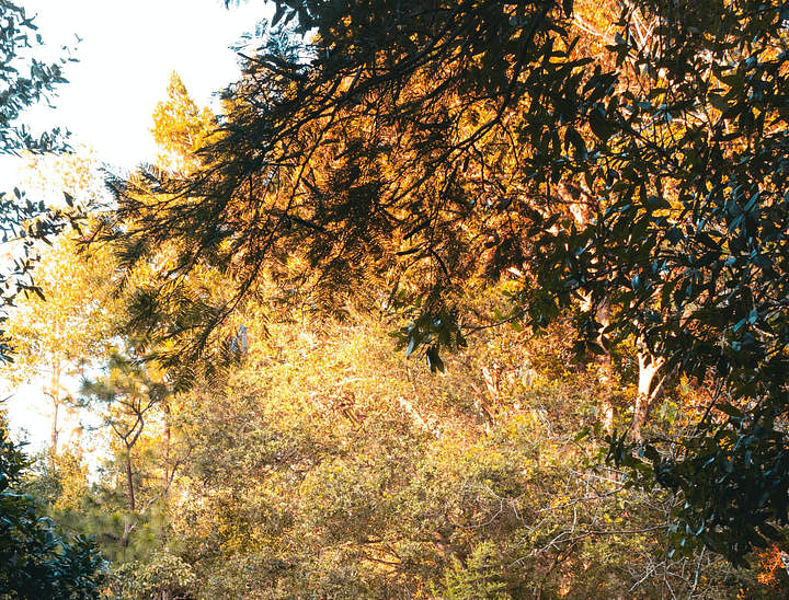 Nombres para negocios de tours a Naciones Unidas el Picacho Park