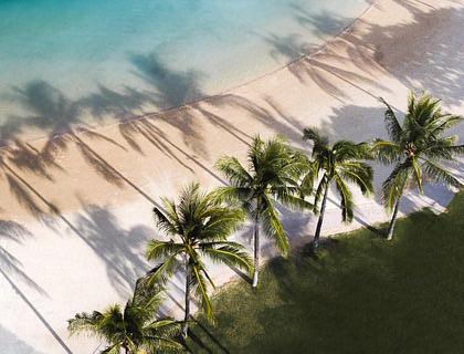 Vista aérea de una playa con arena blanca, agua azul turquesa y palmeras en un negocio de tours a West Bay Beach.