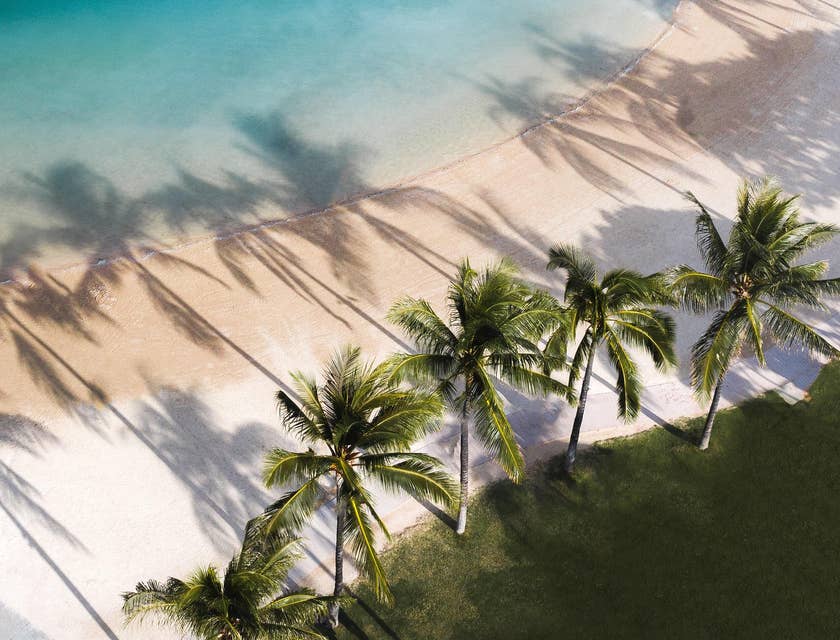 Vista aérea de una playa con arena blanca, agua azul turquesa y palmeras en un negocio de tours a West Bay Beach.
