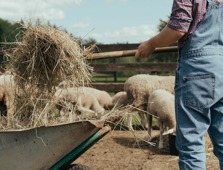 Nomi per Aziende Agricole
