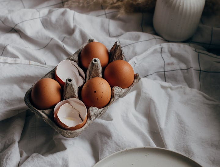 Noms de restaurant d'œufs