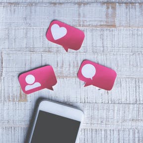 See what potential customers think of the names.