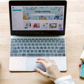 Conduct a domain name search.