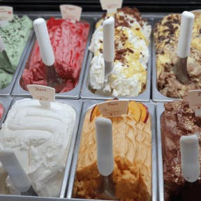 Decide what kind of ice cream business you will be.