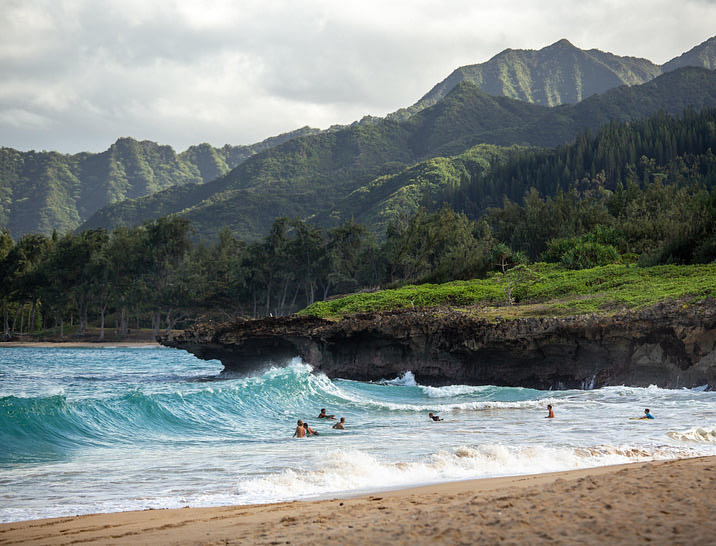 Hawaii Business Search