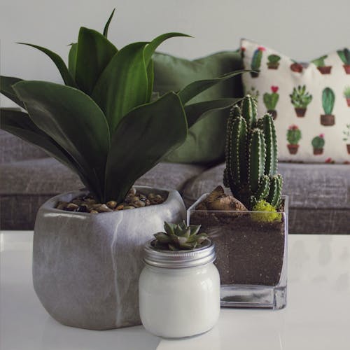 How to Name a Home Decor Business