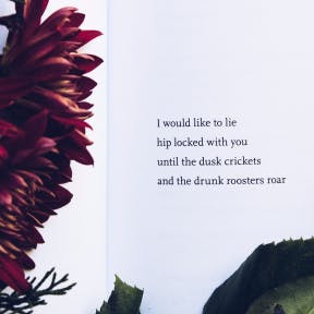 Look for rhymes and alliteration.