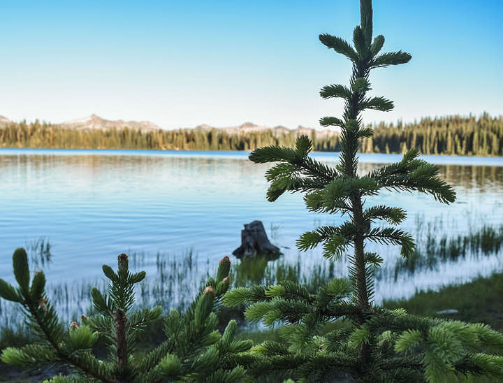 Idaho Business Search