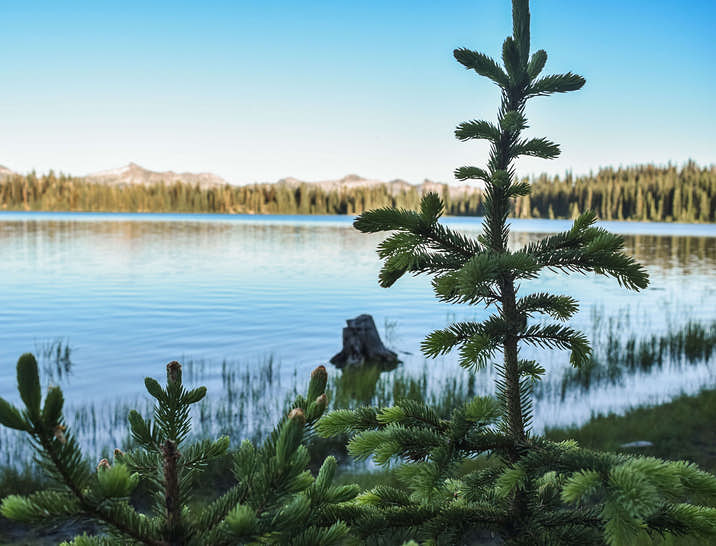 Idaho Business Search
