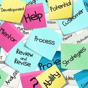 Identify action words.