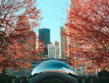 La imagen de la escultura Cloud Gate en Chicago en una empresa de Illinois.