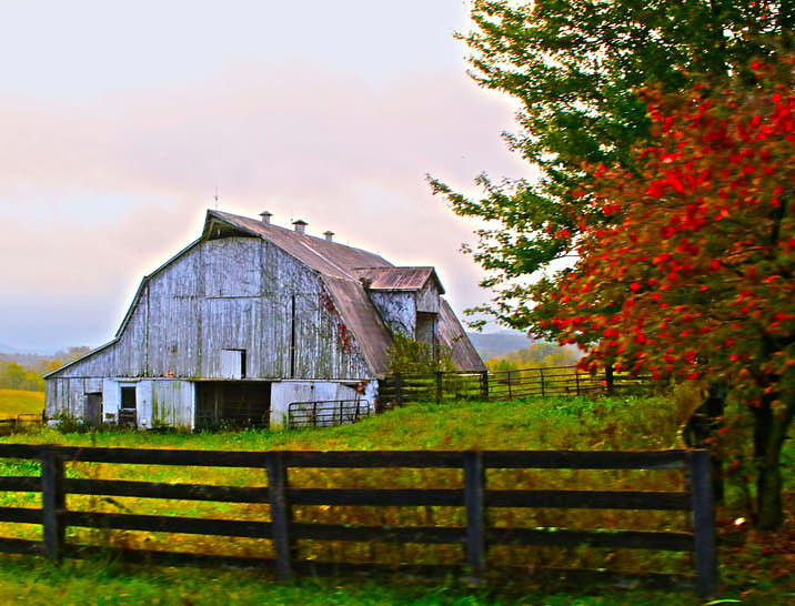 Kentucky Business Search