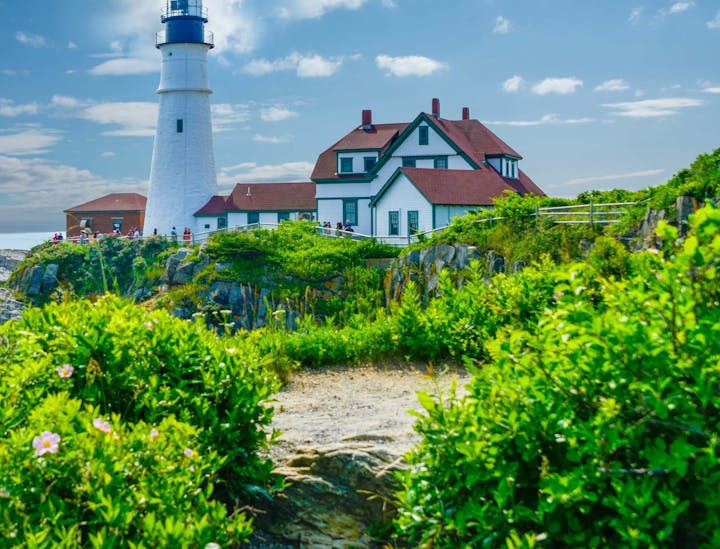 Maine Business Search