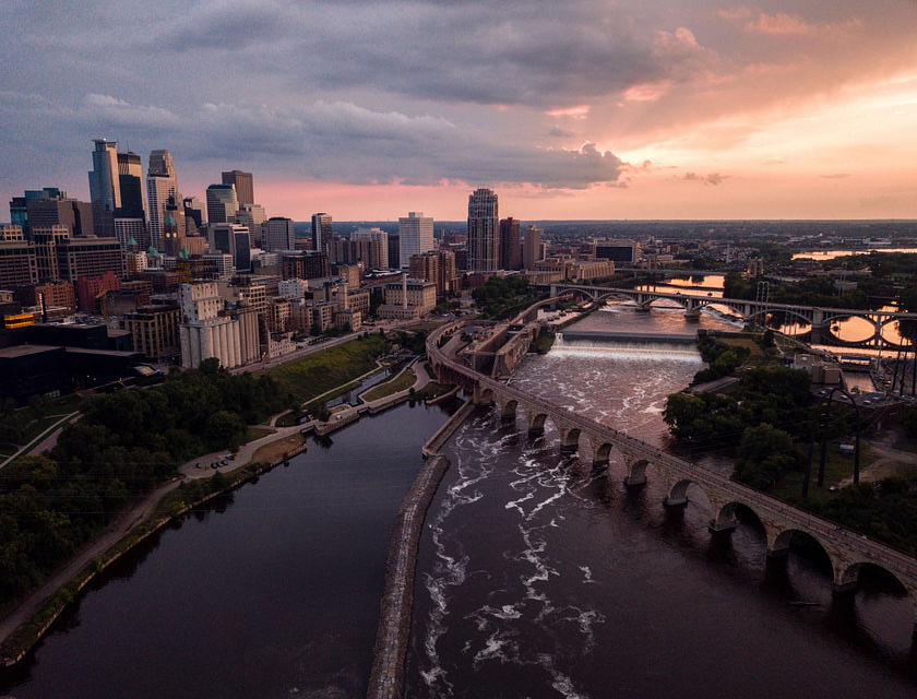 Minnesota Business Search