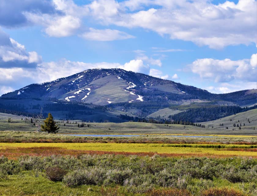 A view of grassfields and mountains in Gardiner, Montana.