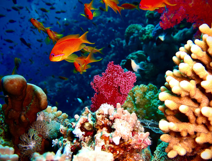 Marine Business Names