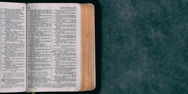 An open Christian Bible resting on a green surface.