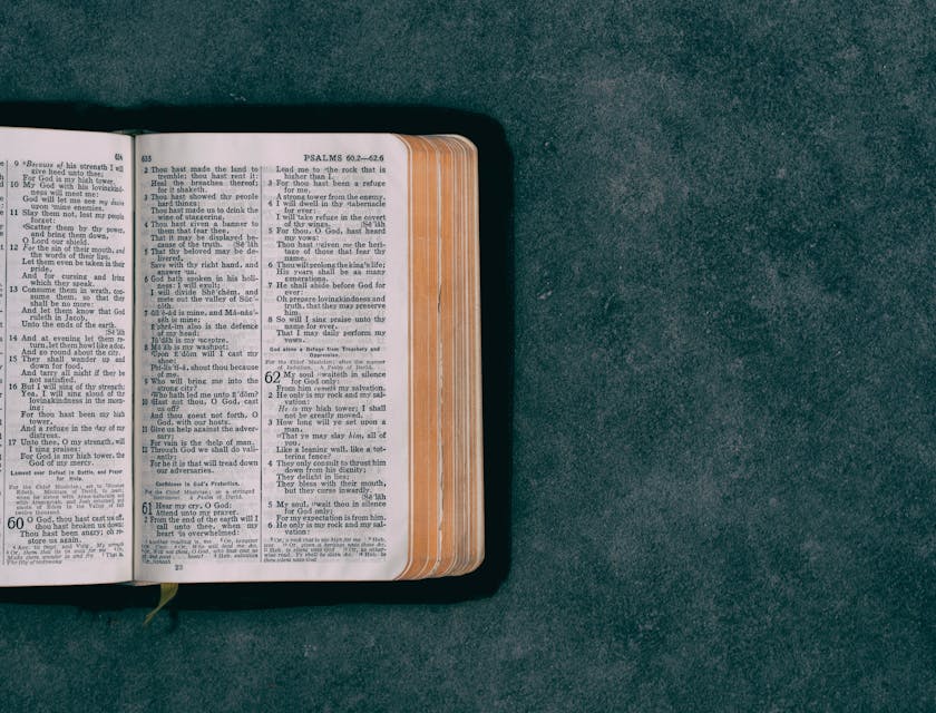 An open Christian Bible resting on a green surface.