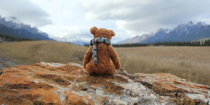Adorable teddy bear facing mountain view.