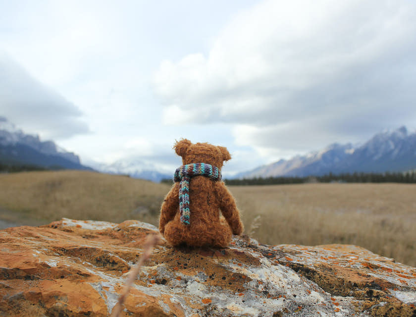 Adorable teddy bear facing mountain view.