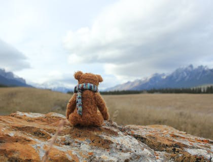 Un adorabile orsacchiotto di peluche poggiato davanti a una vista mozzafiato.