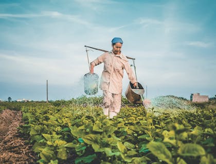 A farmer tends to their agriculture business.